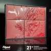 Fitpod X 龍年限定禮盒 Fitpod X 龍年限定禮盒