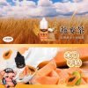 LEON 小煙油 LEON 小煙油